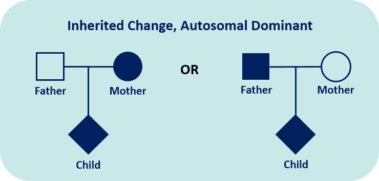 Inherited change, autosomal dominant image